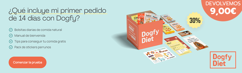 dogfy diet