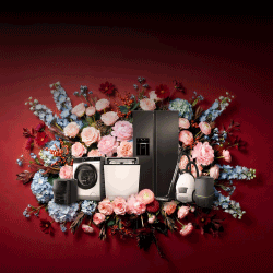 Beruby_feed_image_6065