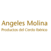 Angeles Molina