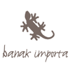 Logo Banak Importa