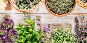 Fondo Dietética Ferrer