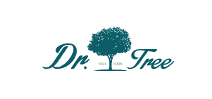 Fondo Dr.Tree