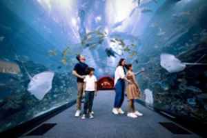 Fondo Dubai Aquarium & Unerwater Zoo