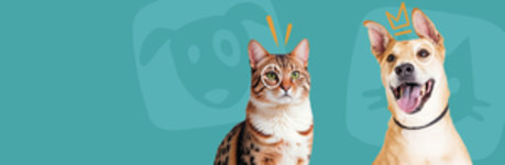 Fondo Superpet