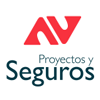 Logo Proyectos y Seguros beruby