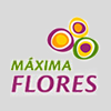 Logo Máxima Flores
