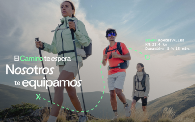 Transporte de regreso