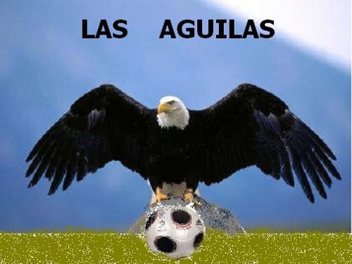 Carlos Eduardo Niño Hilarión