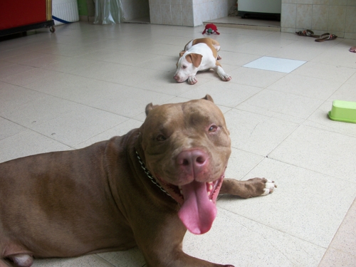 O. Andres Escudero S.