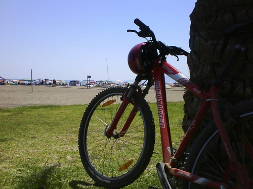 Joaquín Alonso Ligero